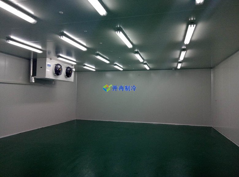 5000㎡農(nóng)產(chǎn)品基地物流冷庫建造總投資預算多少錢 冷庫圖片